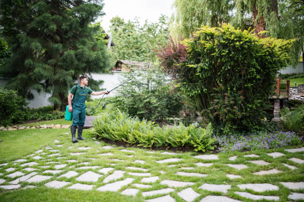 Best Commercial Pest Control Services  in Vandergrift, PA